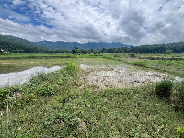 land at Birendranagar, Chitwan